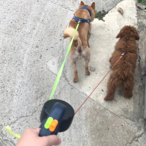 Zesto DuoFlex™ – Retractable Double Leash with Built-in LED Light